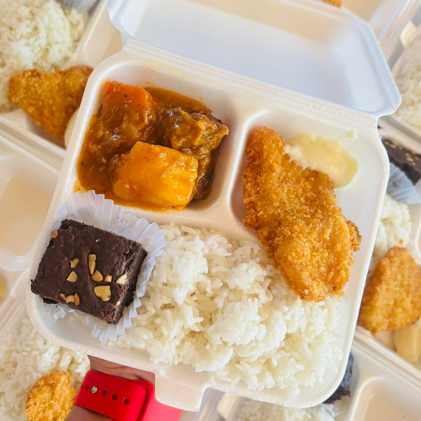 Rice, Bakareta, Fish Fillet with Tartar Sauce and Brownies